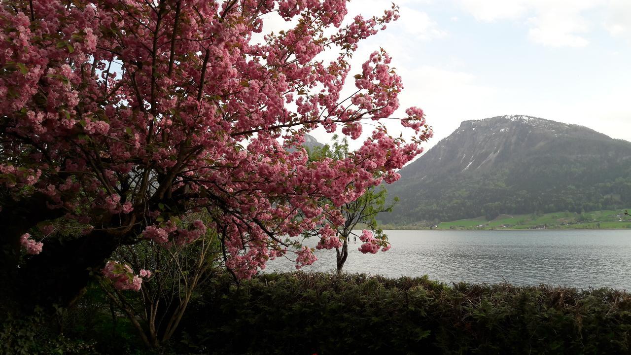 Aberseeblick Pension Ellmauer Saint Wolfgang Buitenkant foto